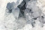 Blue Celestine (Celestite) Crystal Geode - Madagascar #87138-1